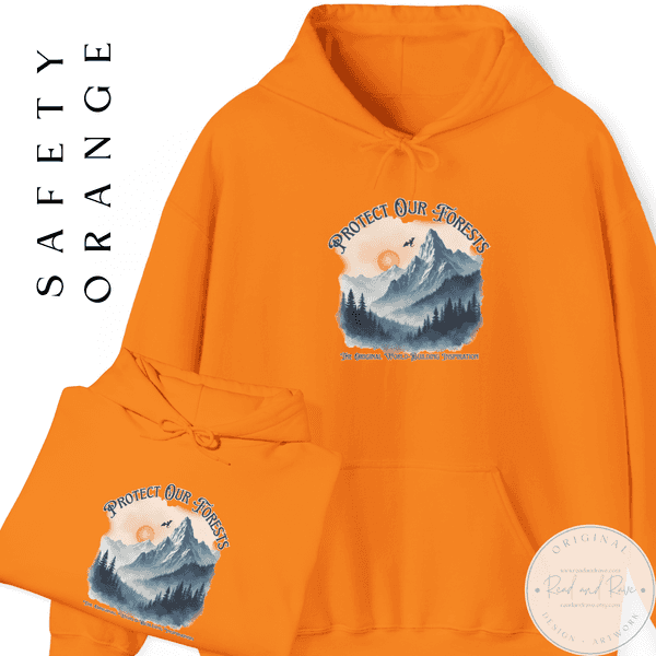 Forbidden Forests Protect Our National Parks Hoodie | Protect Our Parks Bookworm Hoodie Dragon Book Nook Librariancore Resist Tshirt Smoky Mountains Romantasy Book Gift